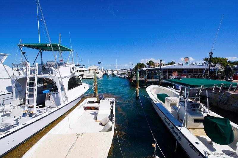 20090204_120451 D3 P1 5100x3400 srgb.jpg - Pier, Key West